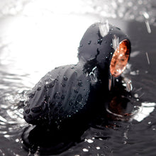Vibe vibrating butt plug showing safety base and tapered tip